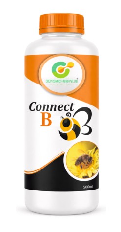 Connect B